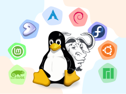 Collage del pinguino de Linux con logotipos de distintas distribuciones de Linux